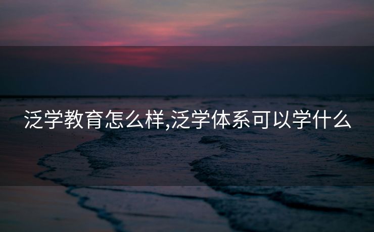 泛学教育怎么样,泛学体系可以学什么