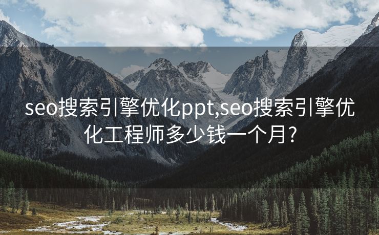 seo搜索引擎优化ppt,seo搜索引擎优化工程师多少钱一个月?