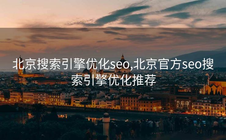 北京搜索引擎优化seo,北京官方seo搜索引擎优化推荐